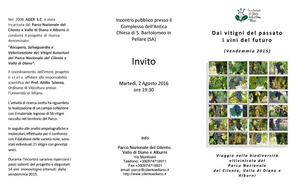 locandina pellare vini