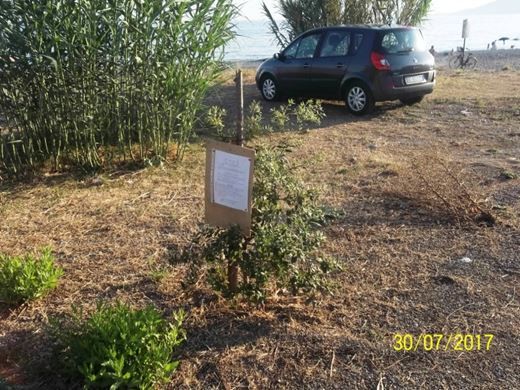 giglio mare villammare