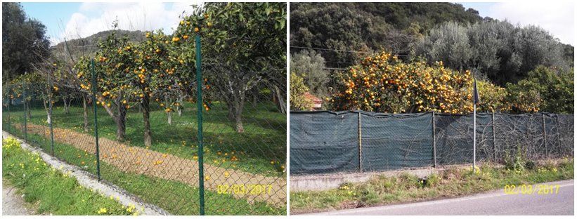 economia sostenibile