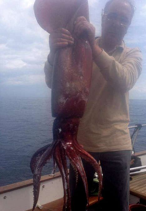 totani giganti napoli