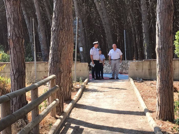 pericolo caduta alberi