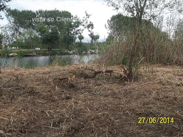 bussento vegetazione