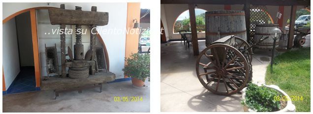 museo frantoio vibonati