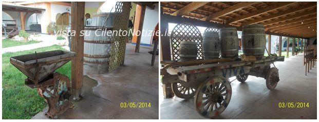 museo frantoio vibonati