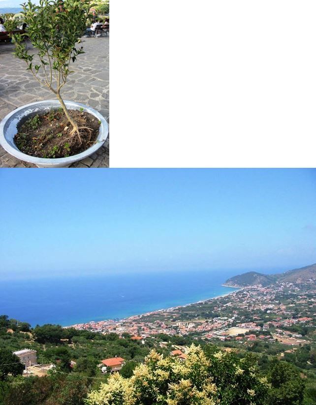 panorama santa maria di castellabate