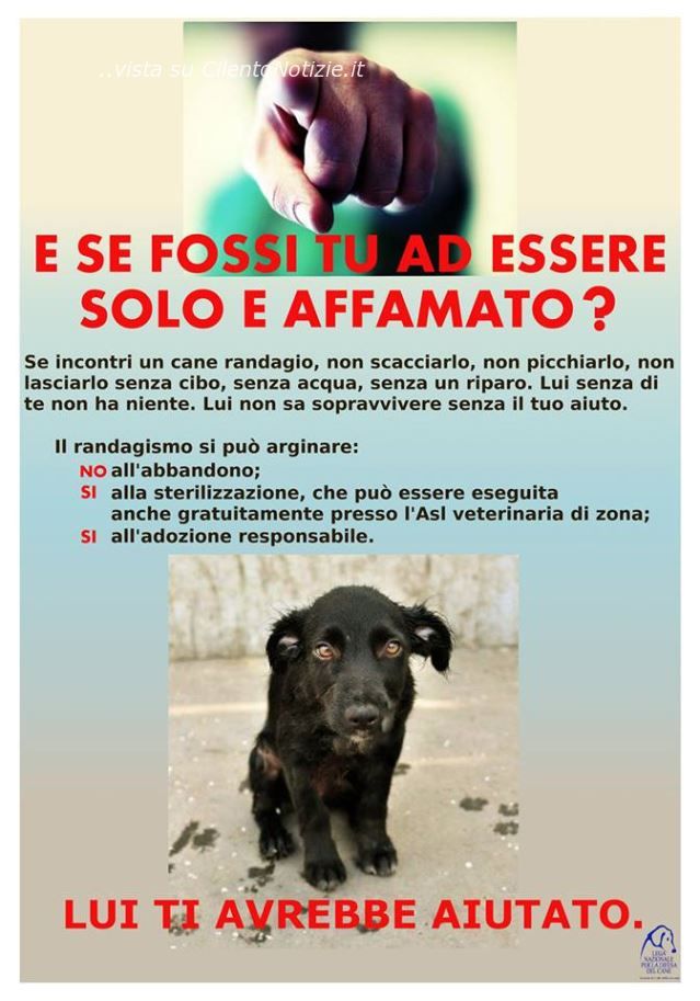 manifesto senza cani vallo