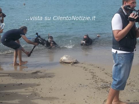 curate tartarughe caretta caretta a riva