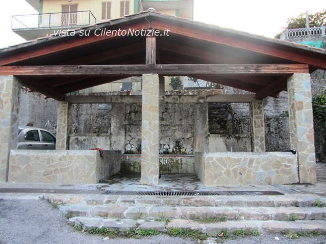 articolo bosco cilento