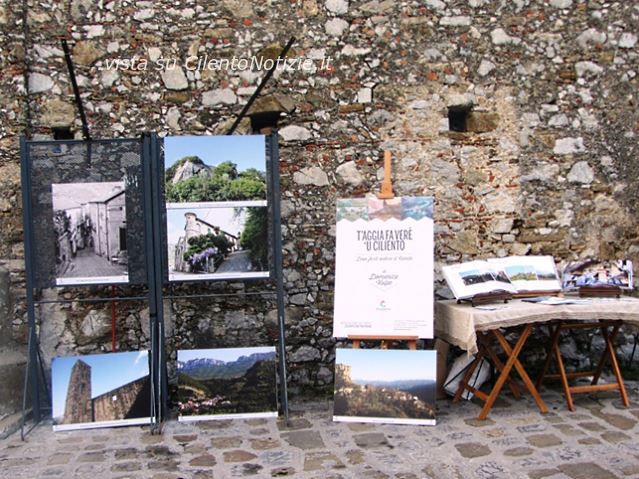 articolo bosco cilento