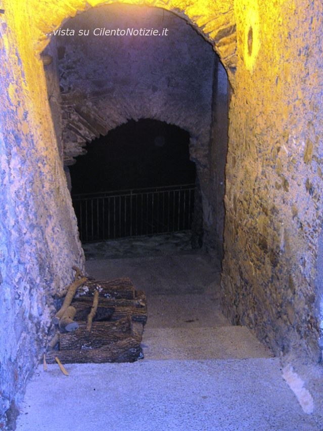 articolo bosco cilento