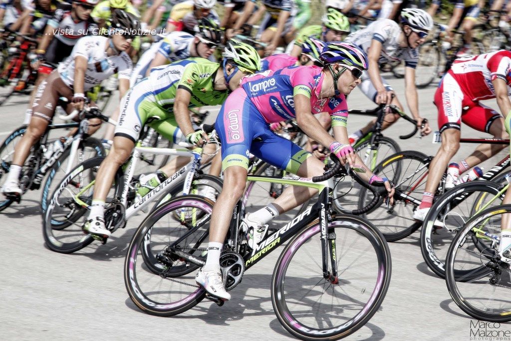 Gruppo curva cannicchio