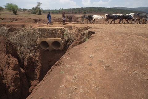 tanzania popolo masai