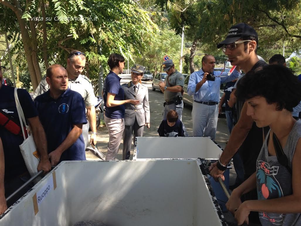 tartarughe adulte liberate ad acciaroli