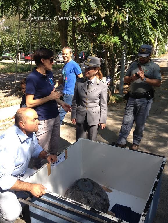 tartarughe adulte liberate ad acciaroli