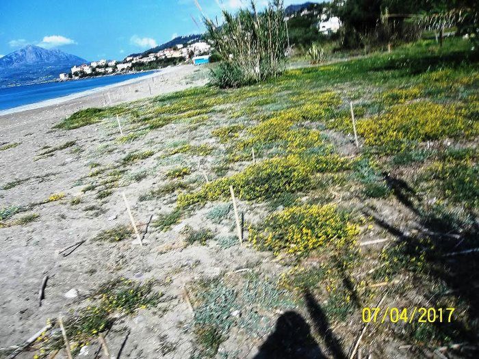 fasce dunali cilento