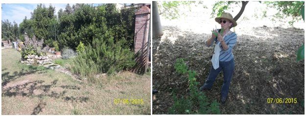 azienda turismo rurale