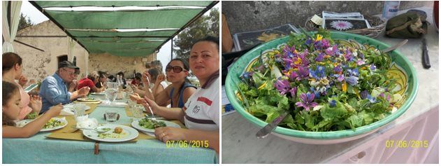 azienda turismo rurale