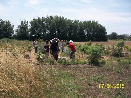 azienda turismo rurale