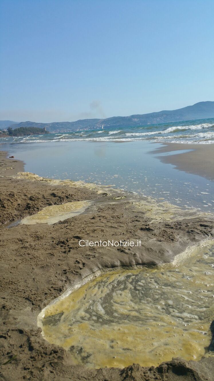 schiuma gialla in mare capaccio paestum