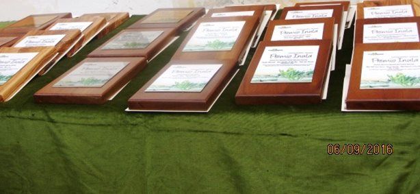 foto premio inula camerota