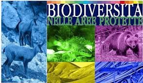 biodiversità