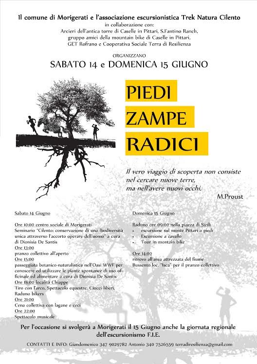 morigerati locandina