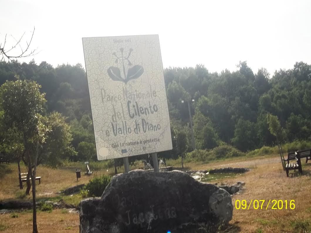 nido rondine parco del cilento