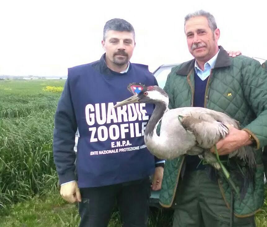 guardie zoofile enpa salerno