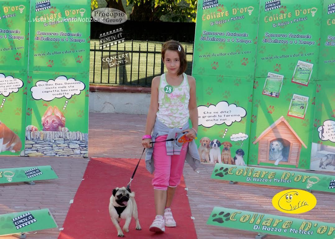 collare d oro concorso cani