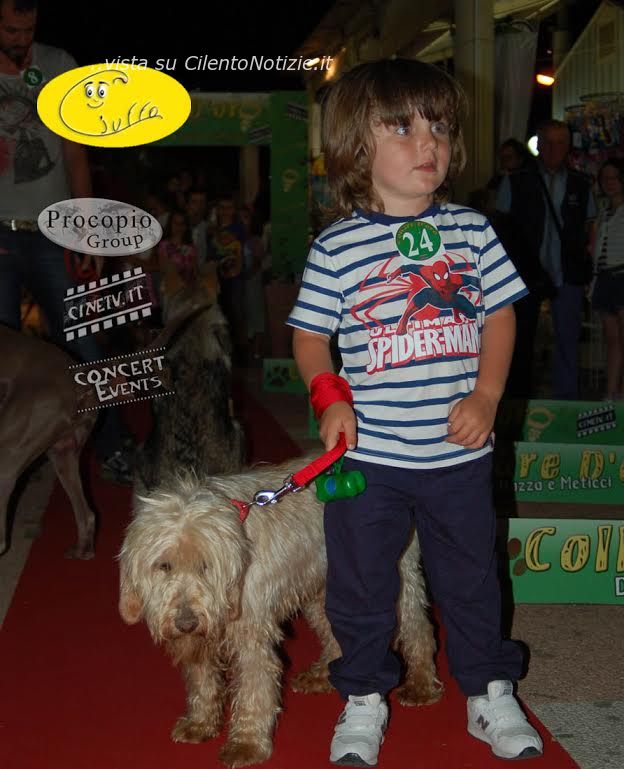 collare d oro concorso cani