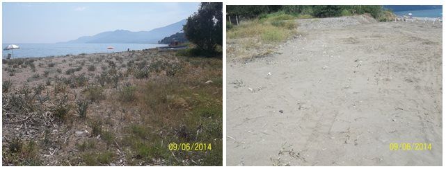 dune essenziali ambiente