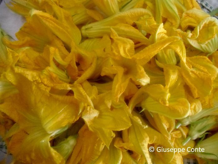 ricetta fiori di zucca