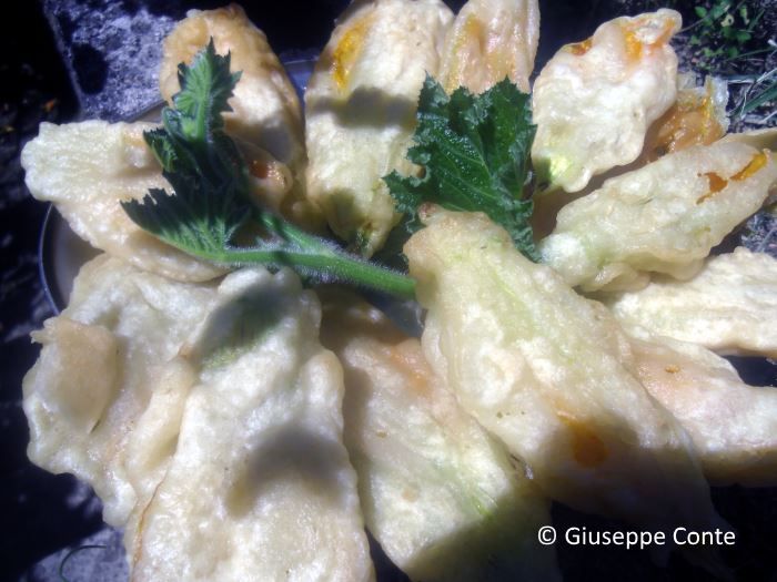 ricetta fiori di zucca