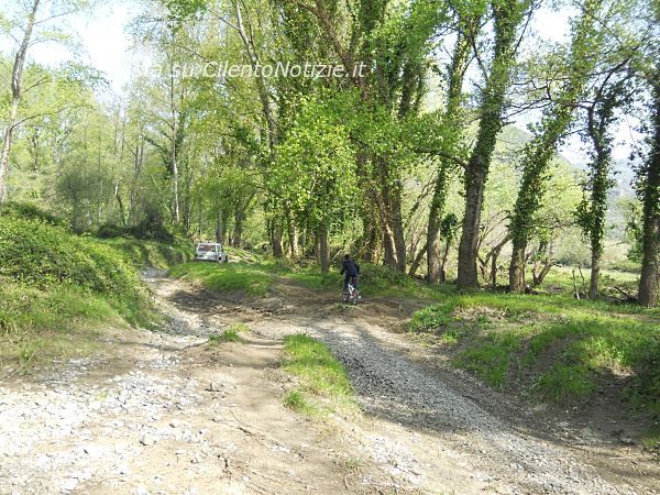 motorally policastro