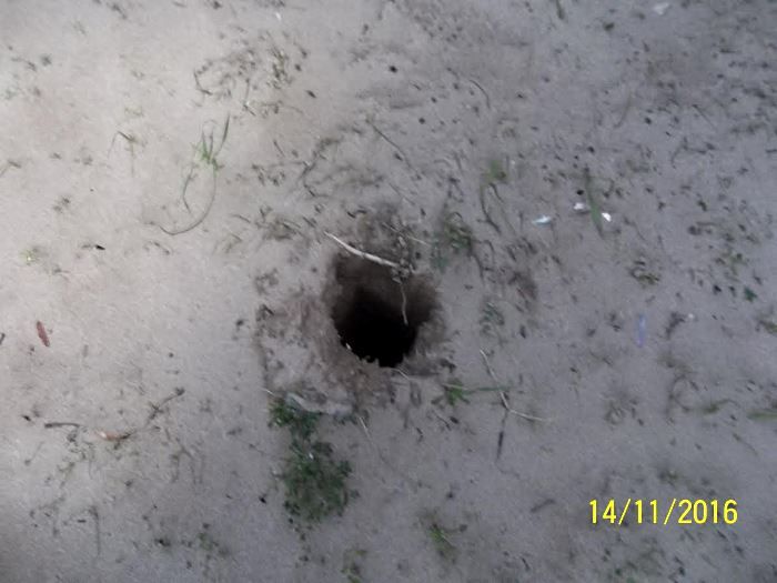 i buchi rimasti nella spiaggia