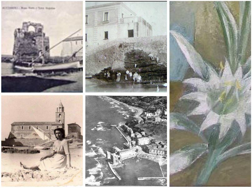 raccolta foto acciaroli