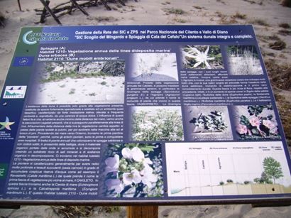 foto p abbate cala del cefalo