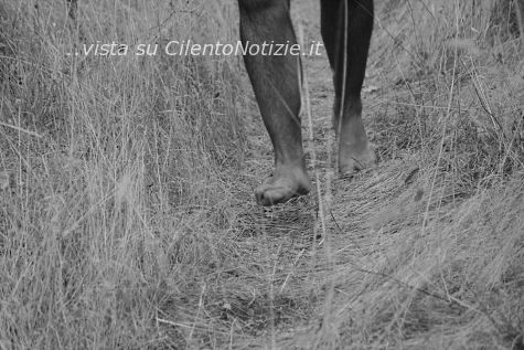 foto diego guardiola