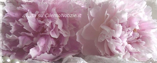 primavera nel cilento