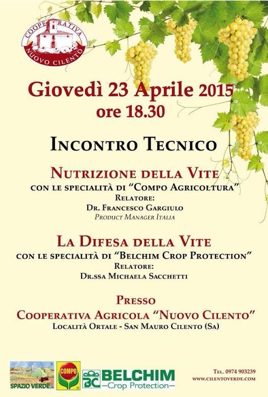 nutrizione della vite