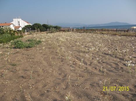 basta mozziconi legambiente