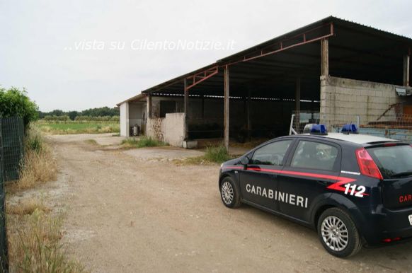 wwf e carabinieri nel territorio