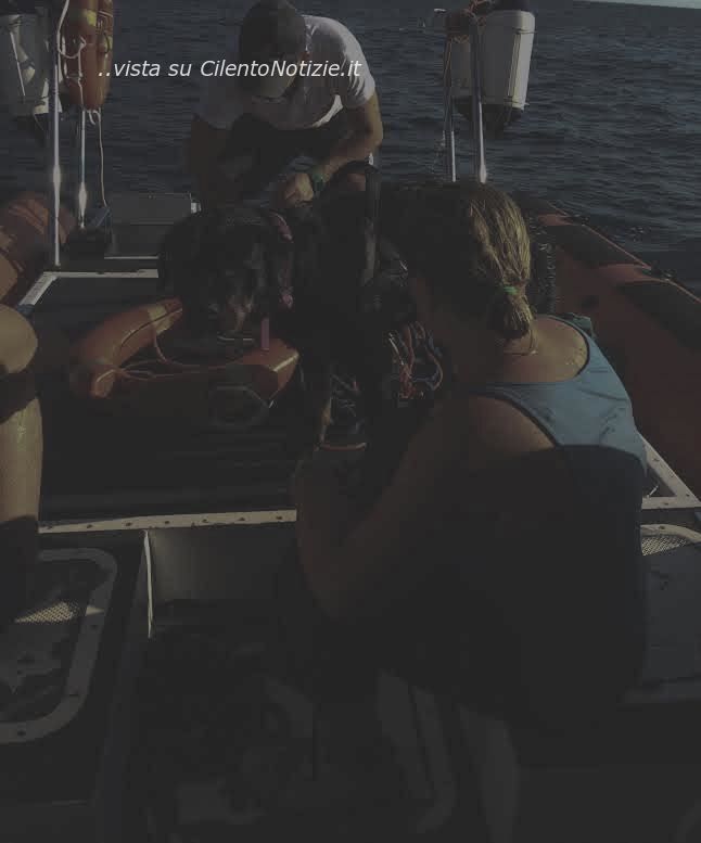 ragazza e cane salvati