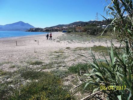 spiaggia di vibonati le dune