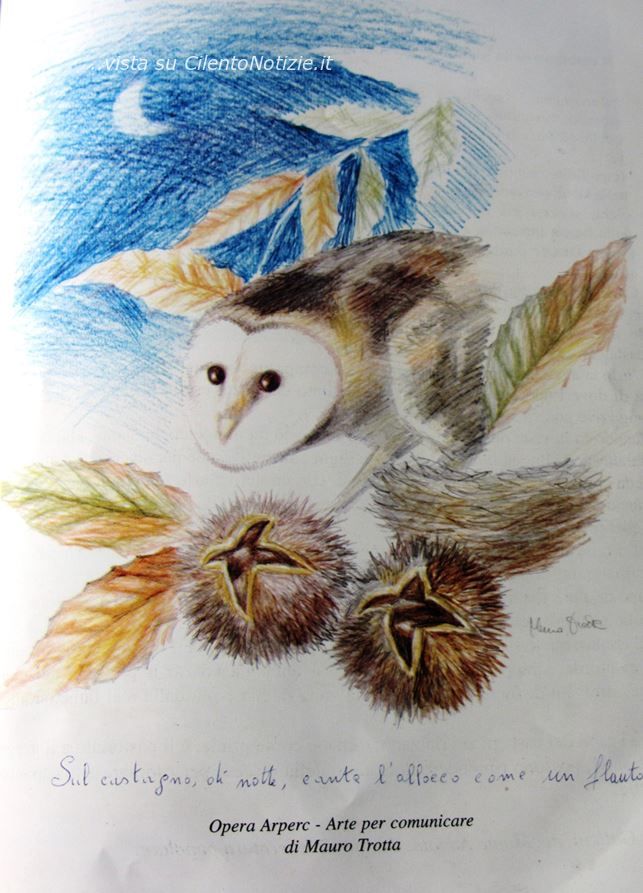 opera arperc castagno