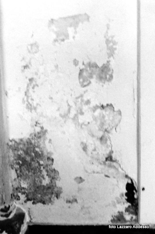 mostra immagini surreali castellabate muffa