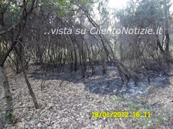 fuochi d'artificio natura