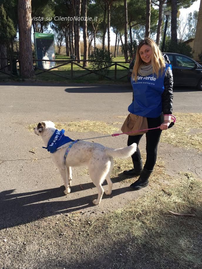fare verde donna e cane