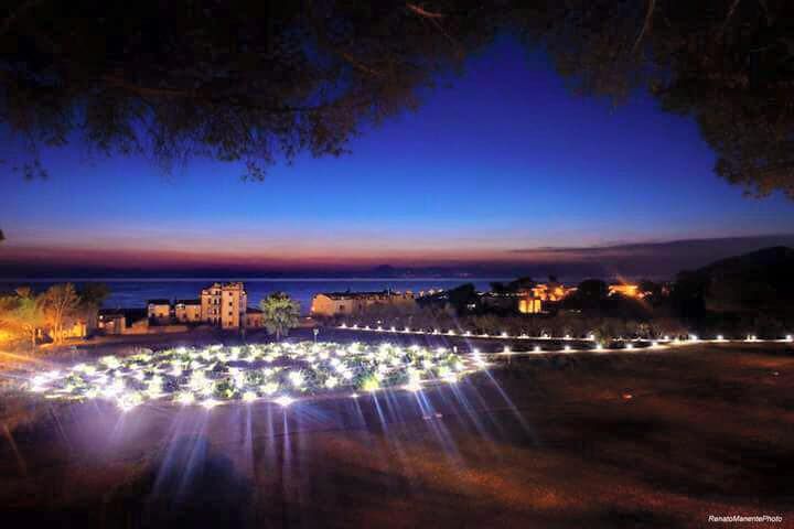 roseto con 210 varietĂ di rose