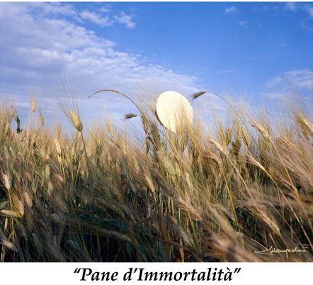 pane immortalita